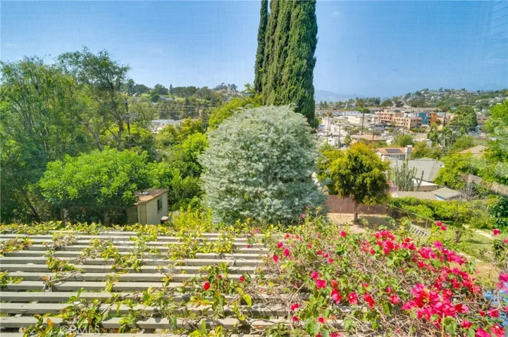 Arboretum-like Backyard
