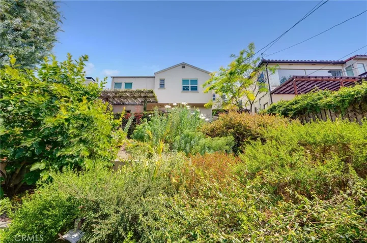 Arboretum-like Backyard