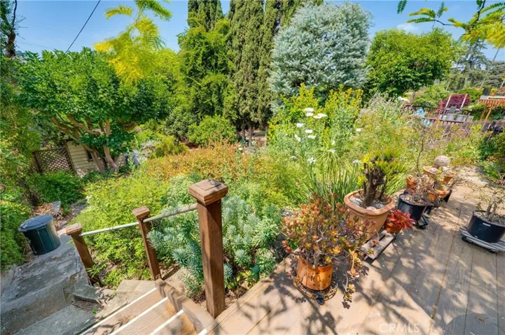 Arboretum-like Backyard
