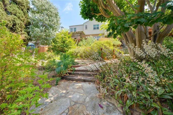 Arboretum-like Backyard View