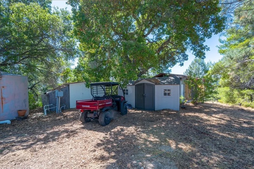Back yard - Sheds