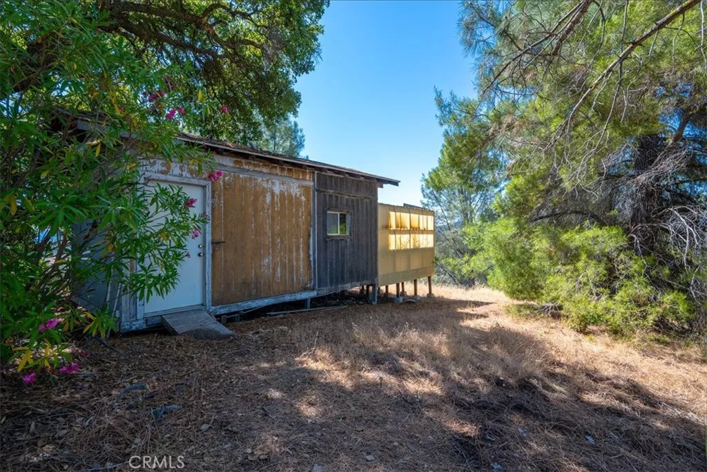 Back yard - Shed