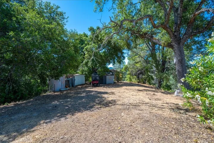Back yard - Sheds