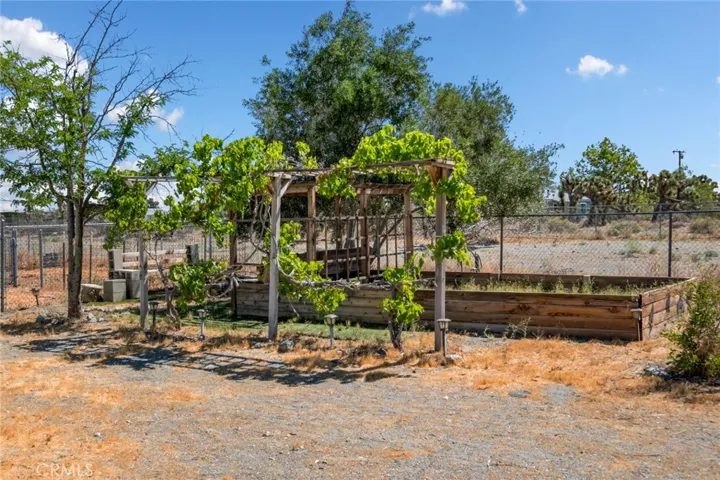 BACK YARD GARDEN