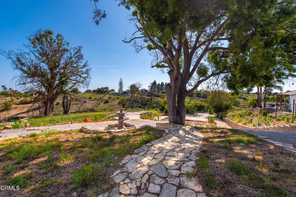 183 Cerro Crest Dr Camarillo-18
