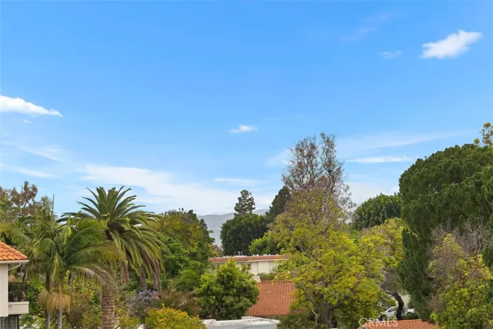 Trees and distant views