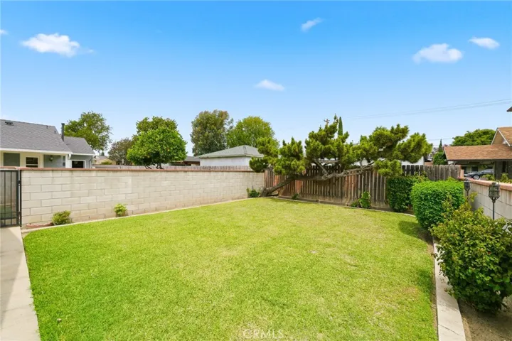 Back yard