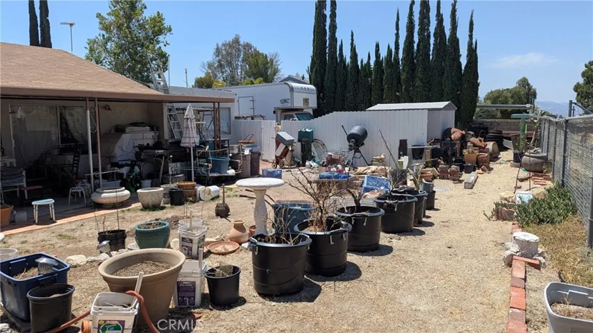 Back yard