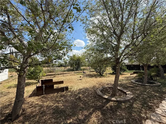 Fruit trees and horse shoes