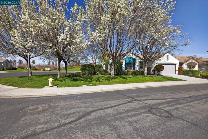 Great Corner Lot