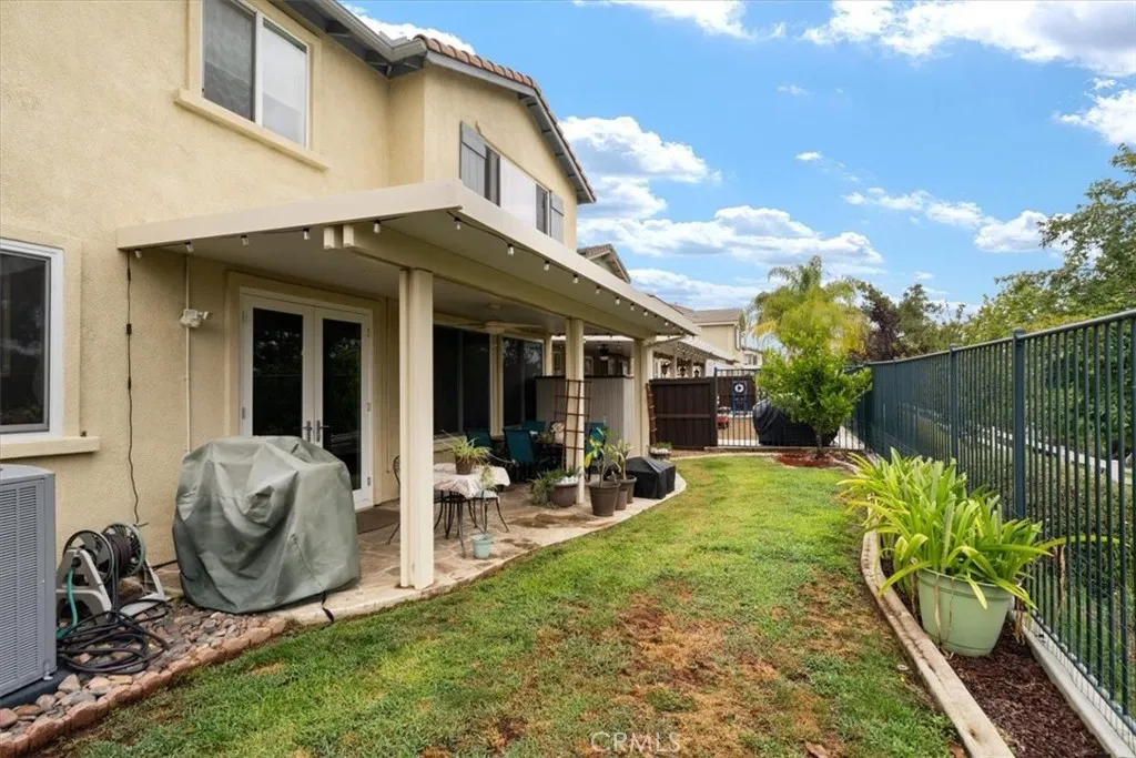 Back yard