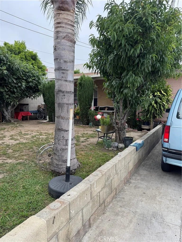 Front house yard