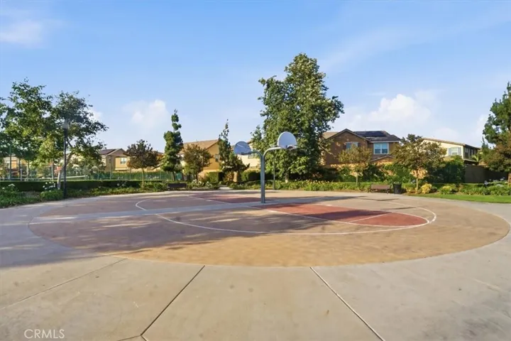 Basketball Court