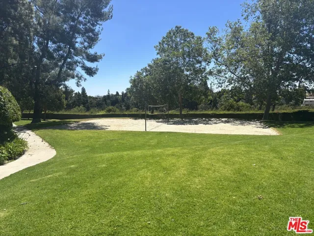 Sport Court/Volleyball