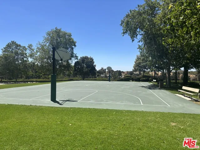Basketball Court