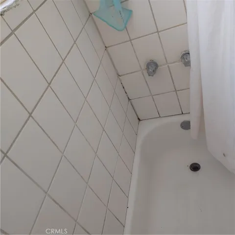 1449 S Park bath 1
