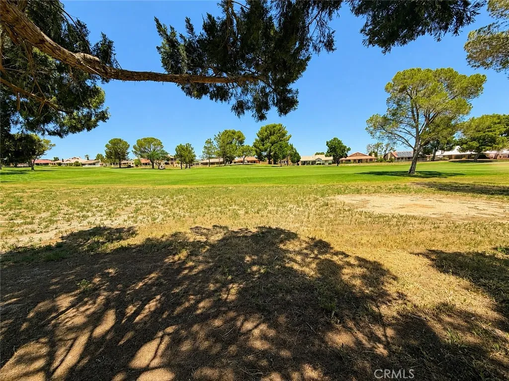 View from the backyard right onto the green