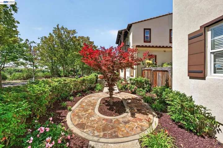 3107 Browntail Way, San Ramon, California 94582