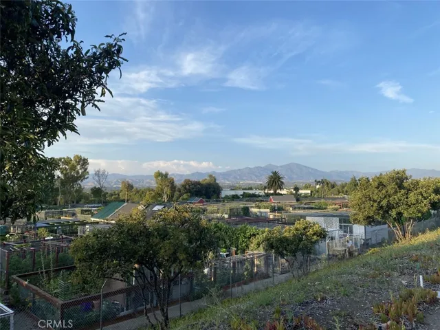 Garden Center 2