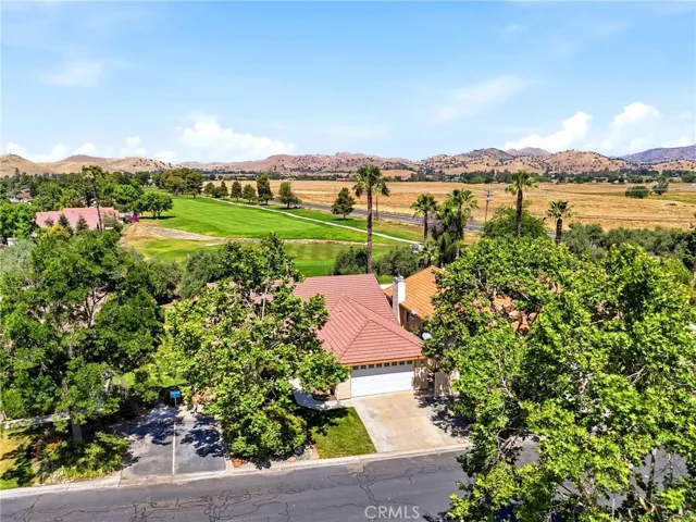 AERIAL