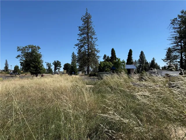 7337 Skyway, Paradise, California 95969