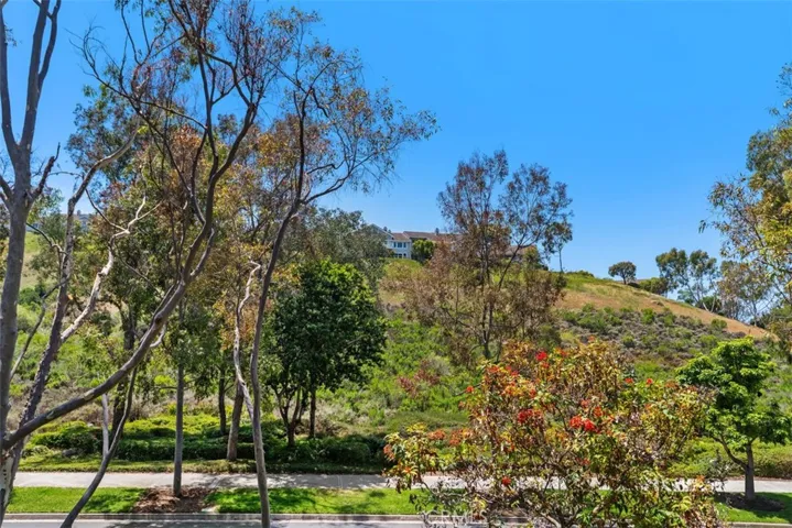 3 Haggerston Aisle, Irvine, California 92603