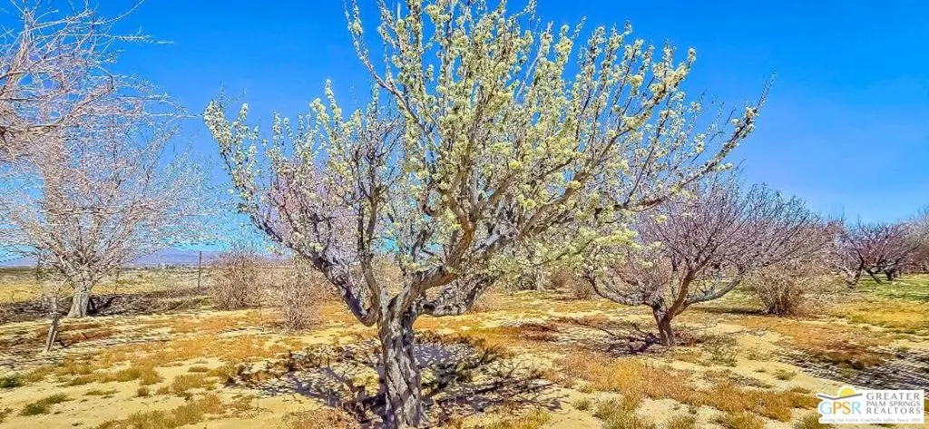11446 Midway Avenue, Lucerne Valley, California 92356
