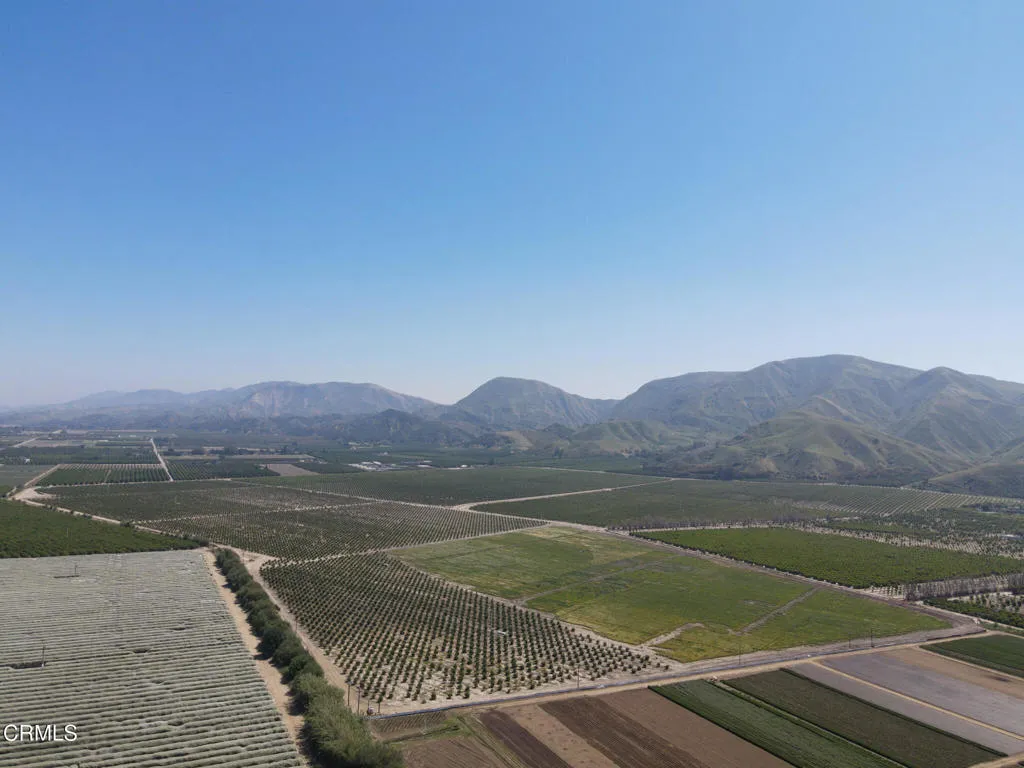 DJI_0459