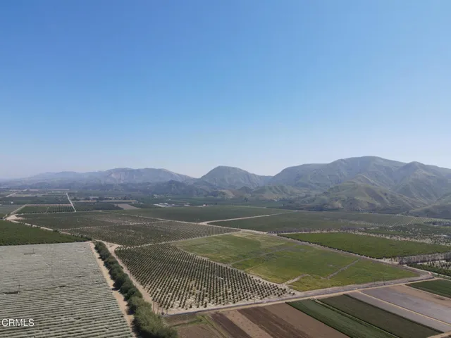 DJI_0459