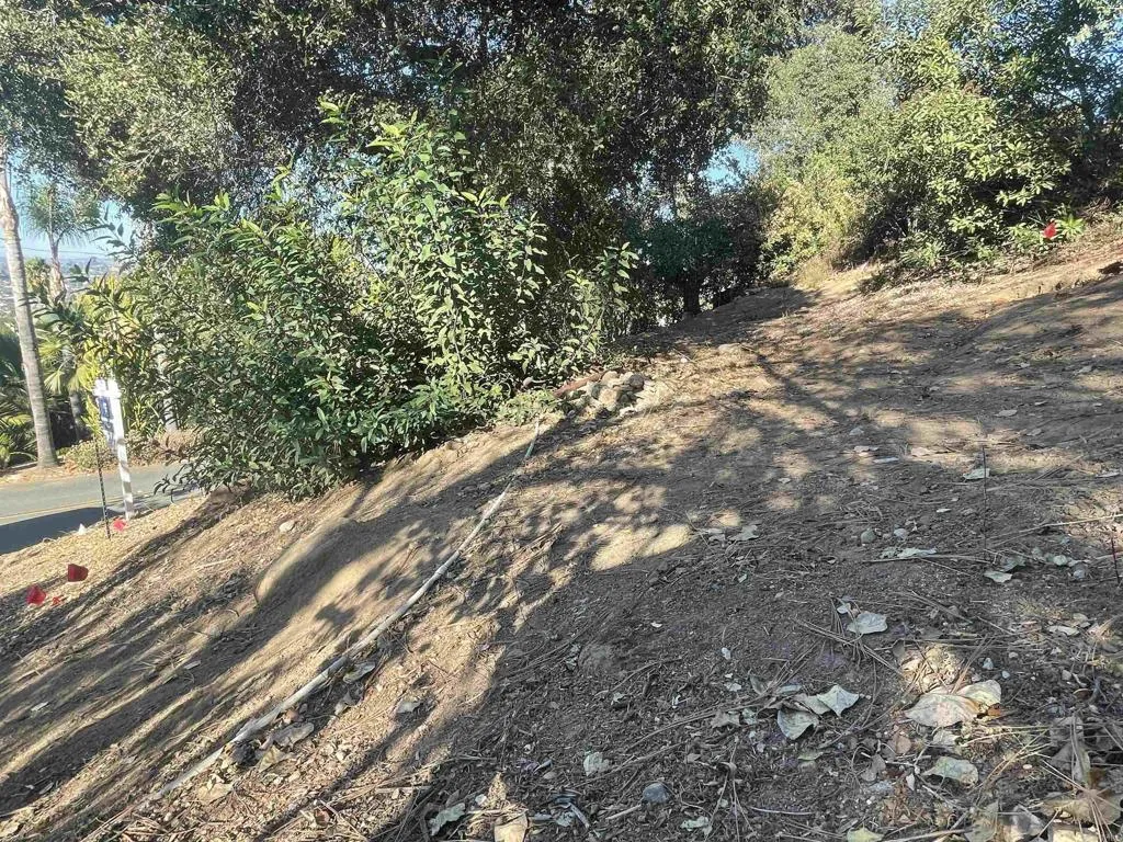 Pathway at Street