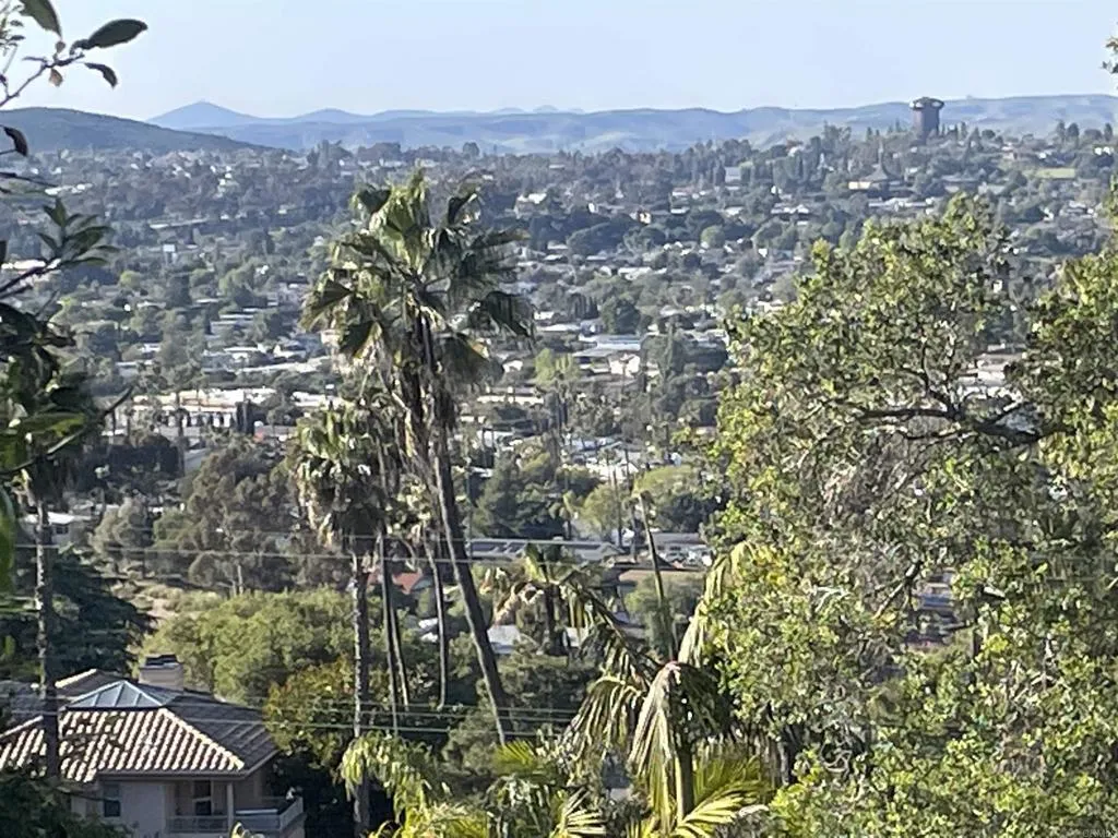 view from higher up