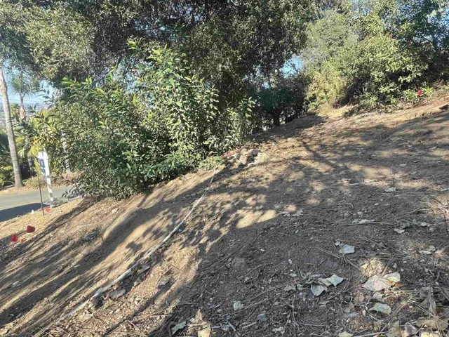 Pathway at Street