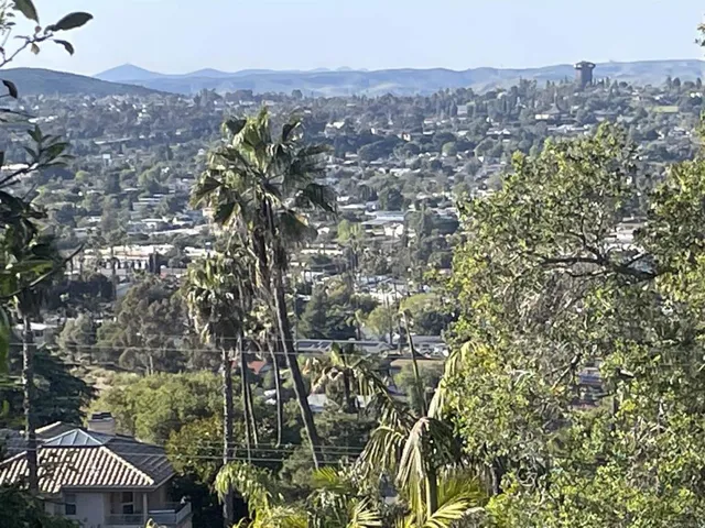 view from higher up