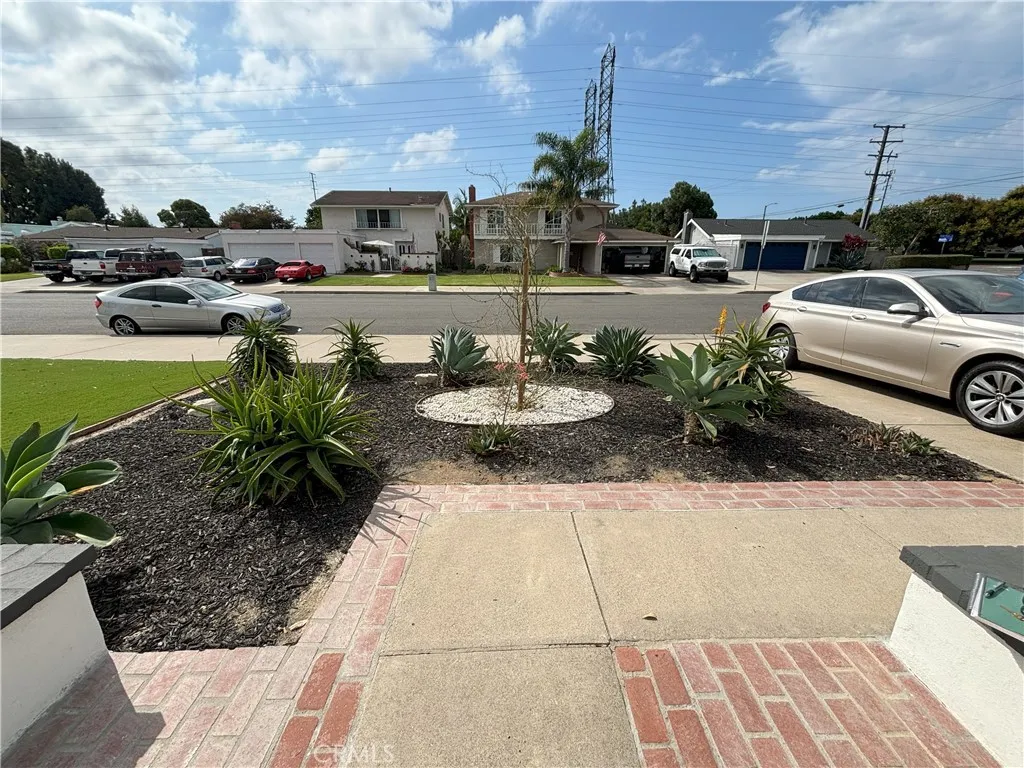Front Yard