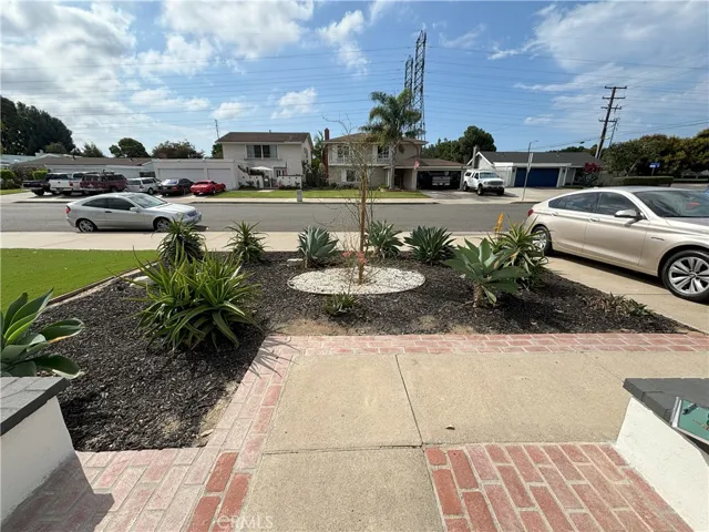 Front Yard