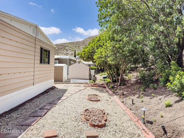 back-5
