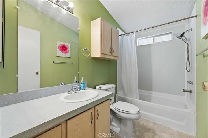 Guest/hallway bathroom