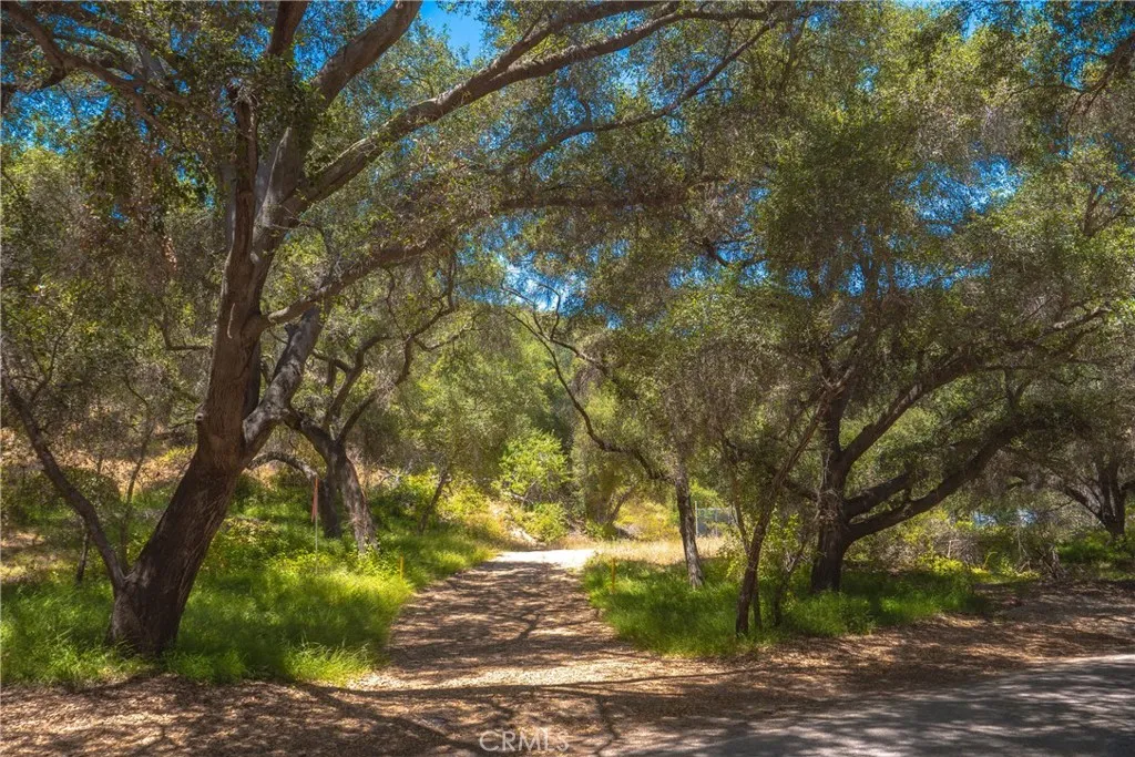 Entry to the Wells on De Luz Road with