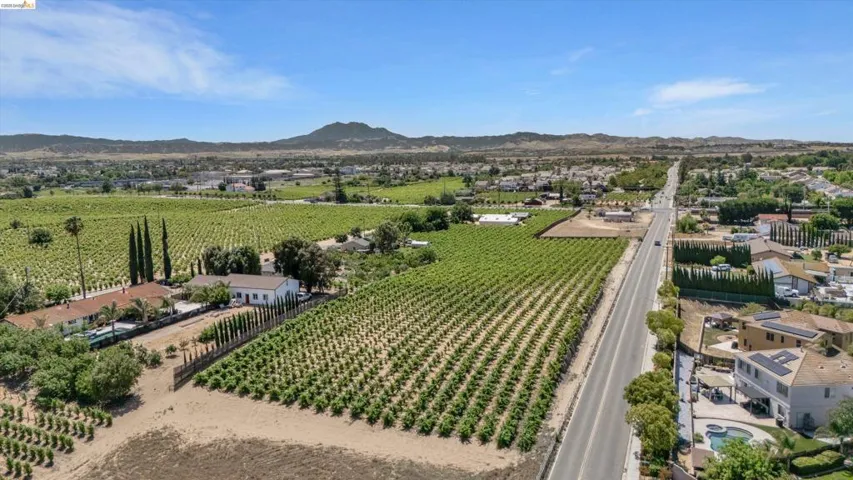 Expansive vineyard property featuring mature grapevines, a paved road frontage, and distant mountain scenery