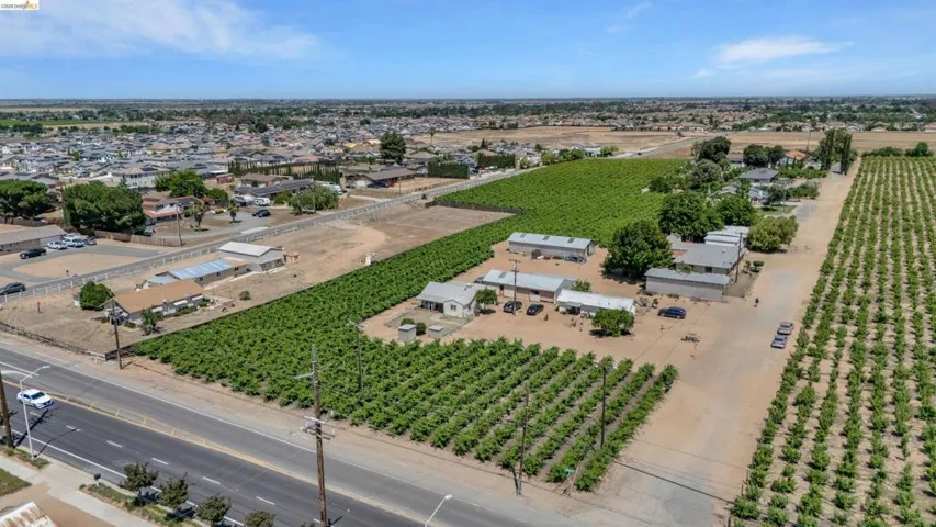 Expansive property featuring structured agriculture with multiple rows of green crops
