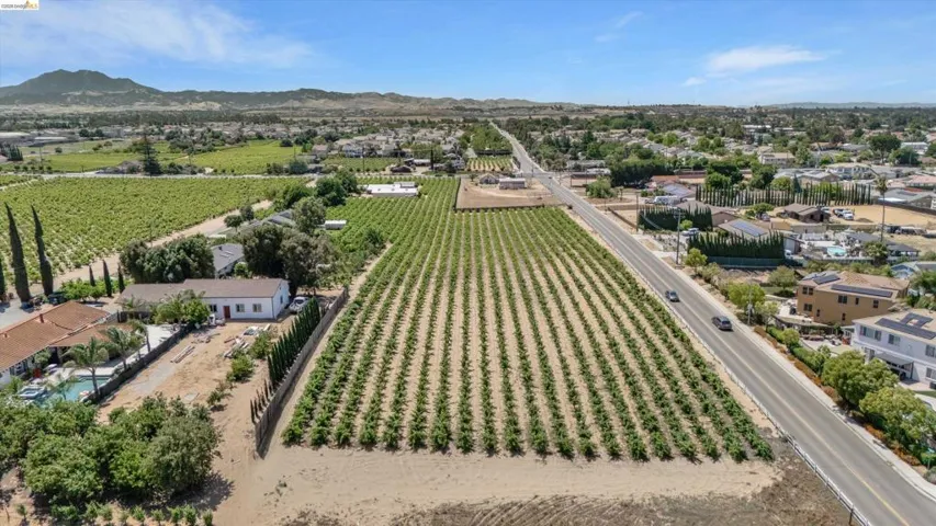 Expansive agricultural property featuring rows of cultivated crops
