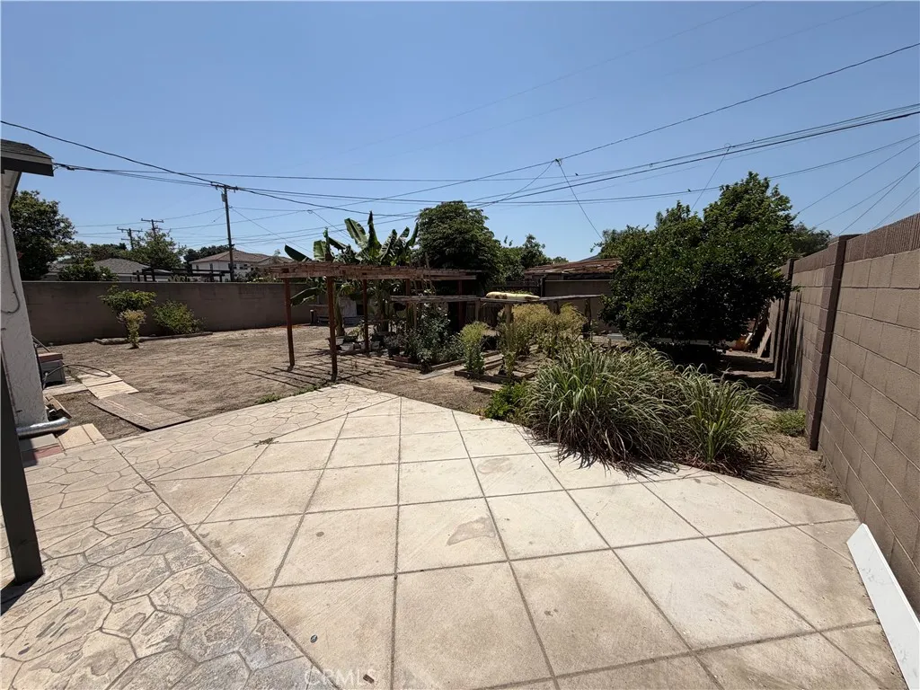 Huge Backyard