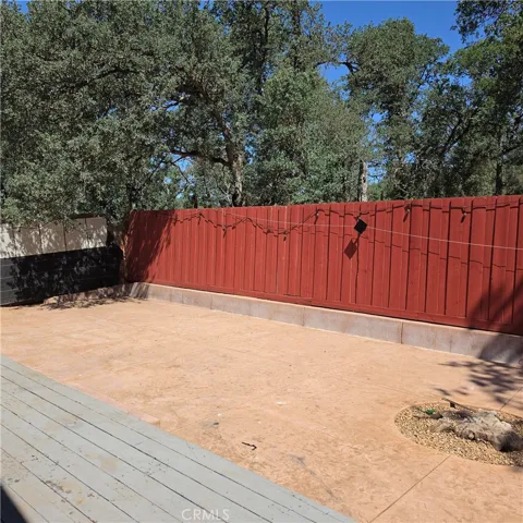 Back yard