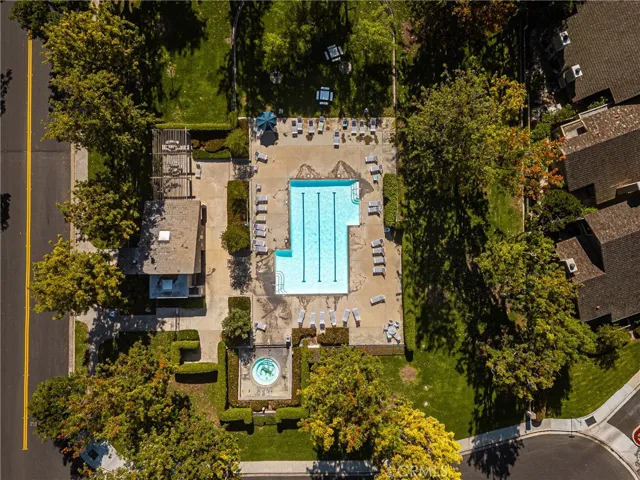 Springvale Pool