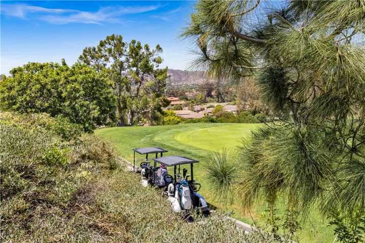 27209 Paseo Lomita, San Juan Capistrano, California 92675