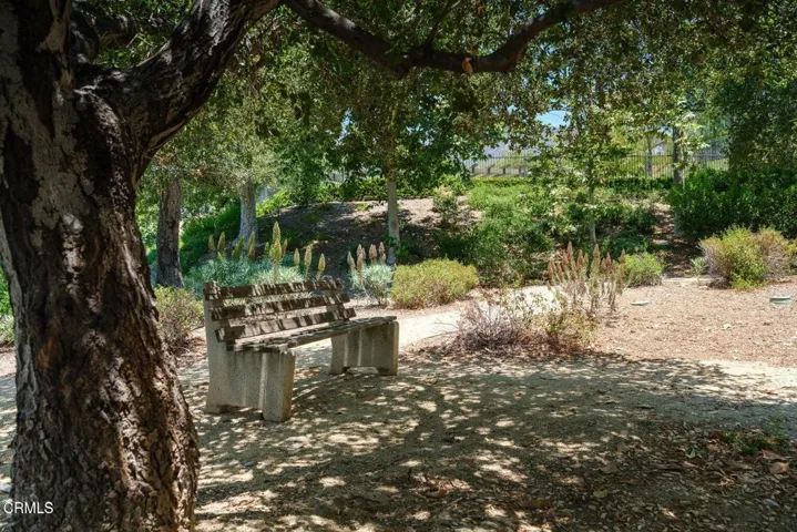 la vina community 1