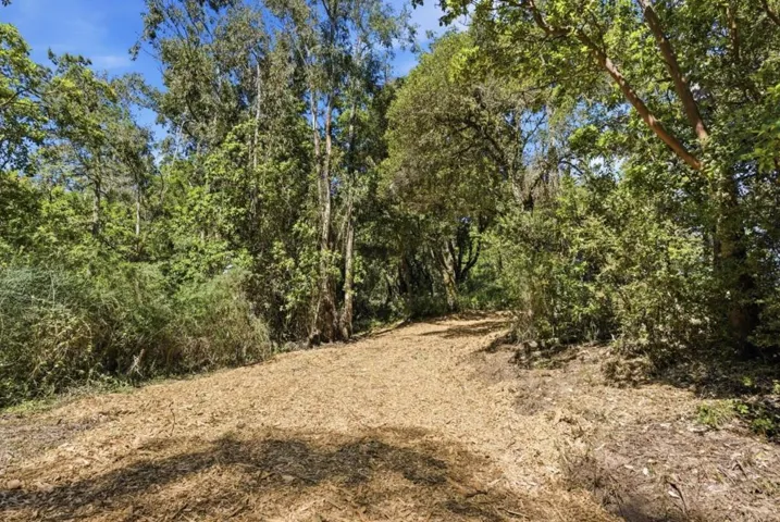 0 Page Mill Road, Palo Alto, California 94304