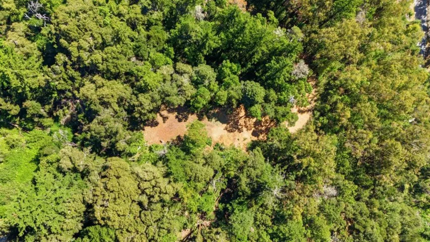0 Page Mill Road, Palo Alto, California 94304