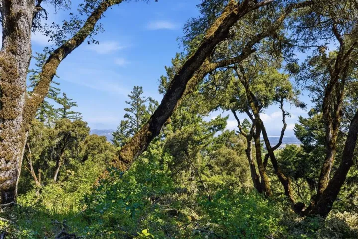 0 Page Mill Road, Palo Alto, California 94304