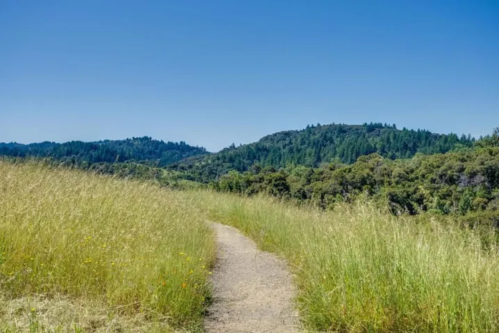 0 Page Mill Road, Palo Alto, California 94304